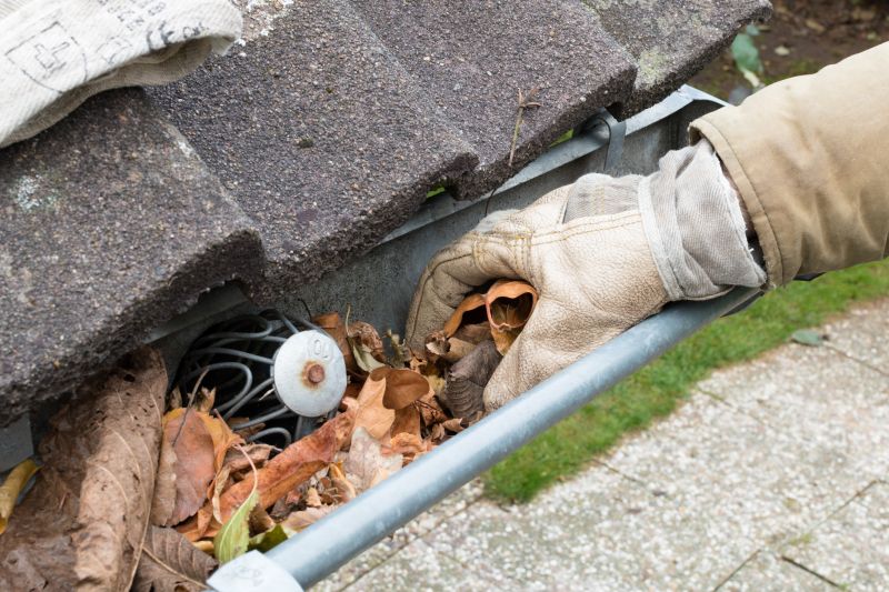 Clogged Gutter Blockage